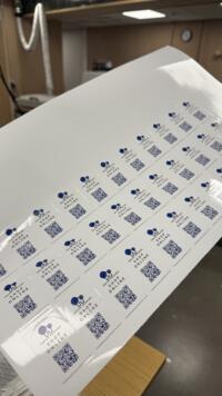 IMG_1341 (002).jpeg Thumbnail